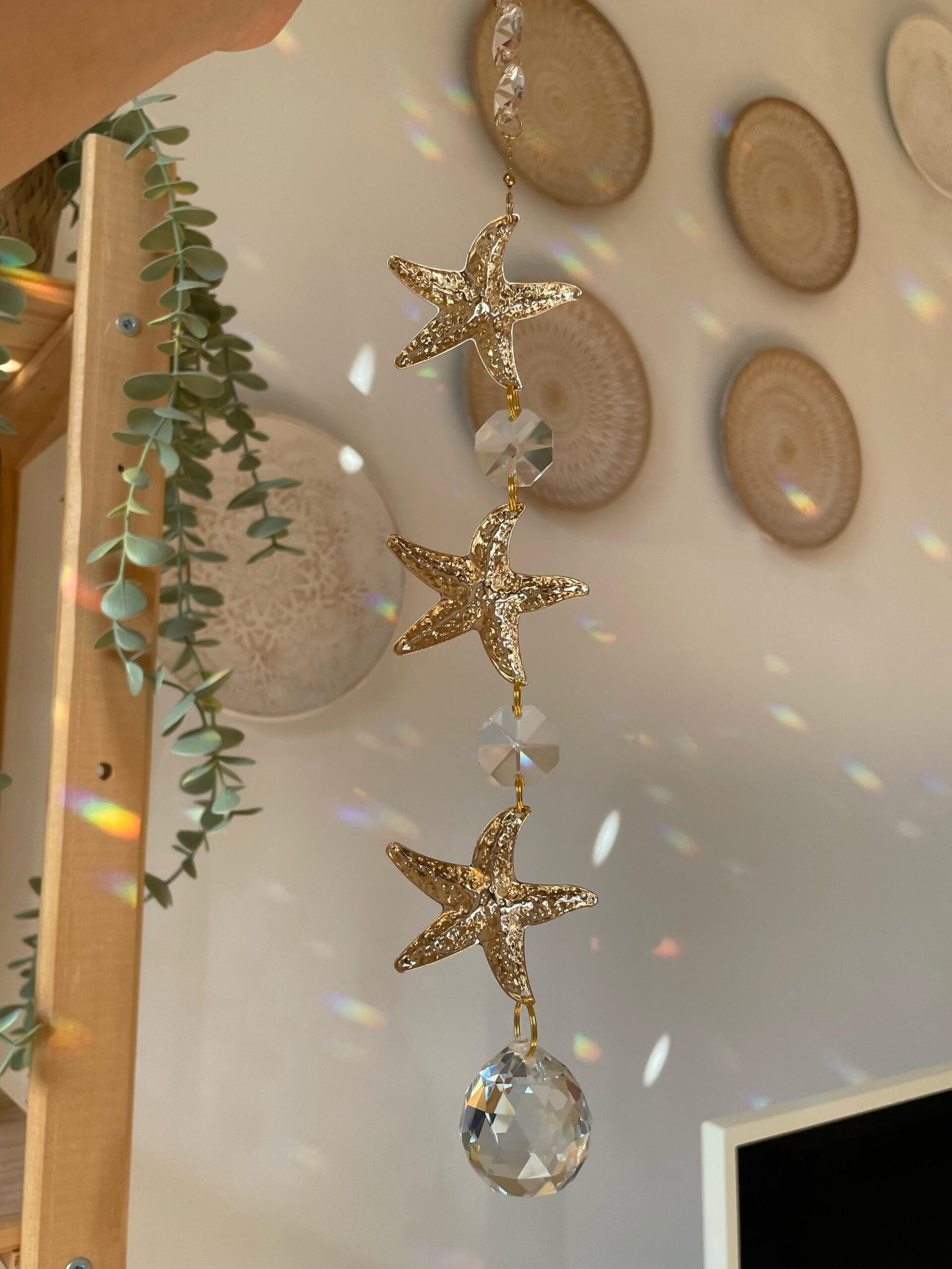 Luz de Afrodita - Imagen 4