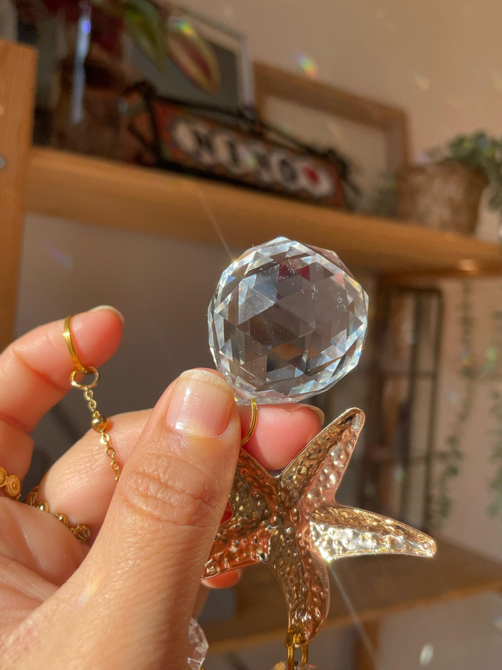 Luz de Afrodita - Imagen 3